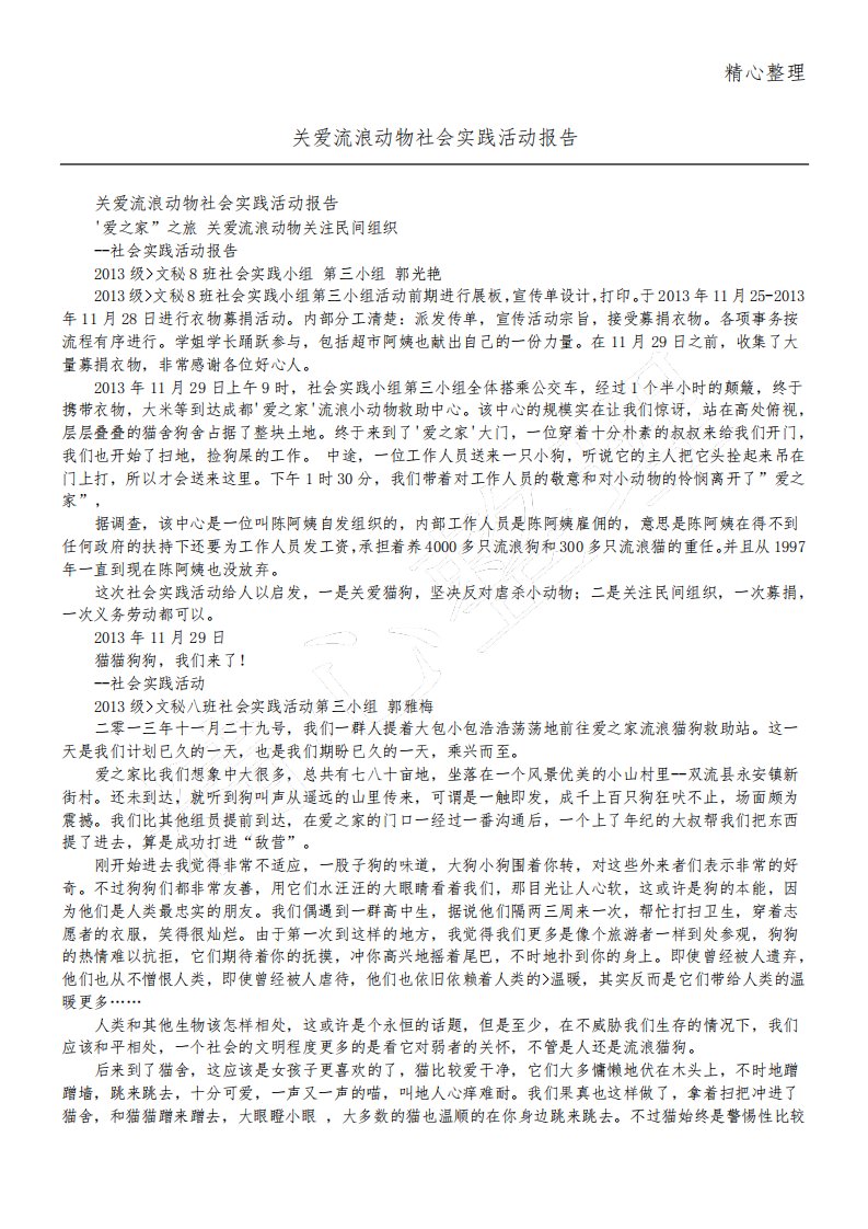 关爱流浪动物社会实践活动报告