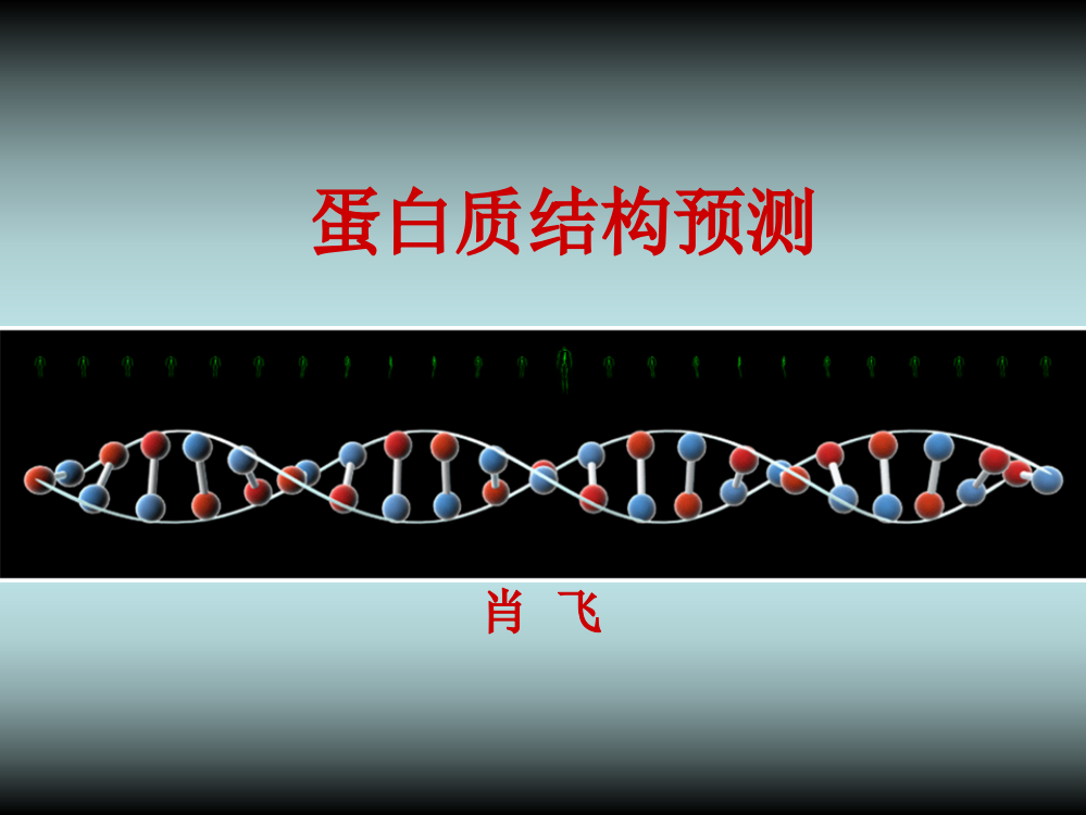 5-蛋白质三级结构预测