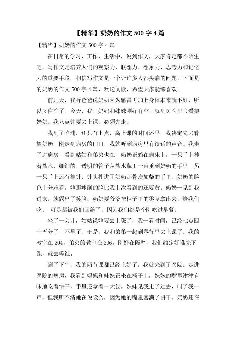 奶奶的作文500字4篇2