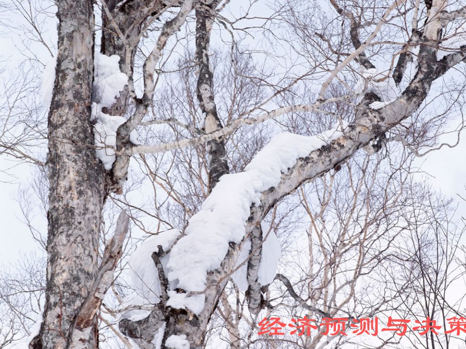 风险管理-第十一章风险型决策经济预测与决策兰州大学,刘书琪