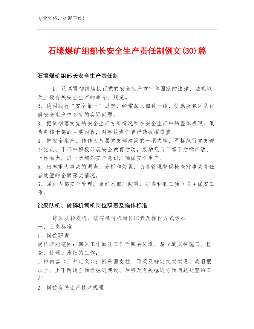 石壕煤矿组部长安全生产责任制例文(30)篇