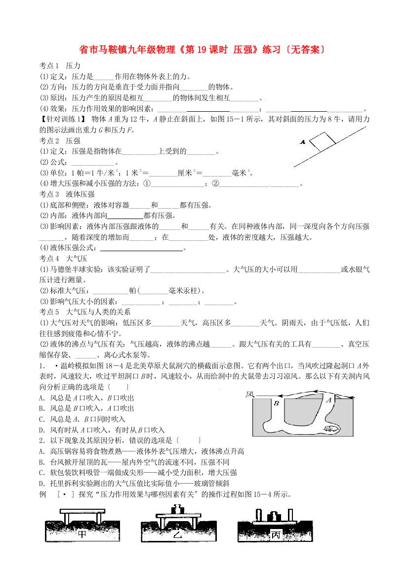 （整理版）市马鞍镇九年级物理《第19课时压强》练习（无答案）