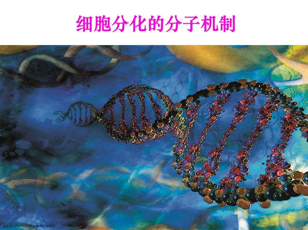 发育生物学细胞分化的分子机制