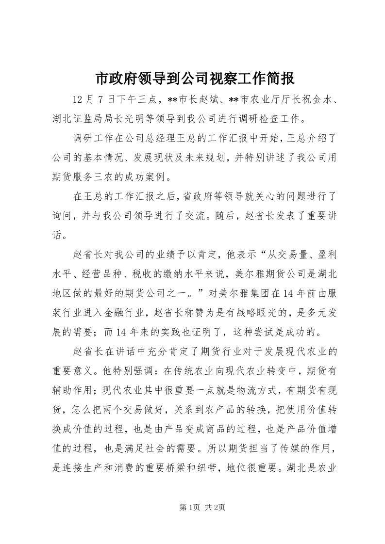 6市政府领导到公司视察工作简报