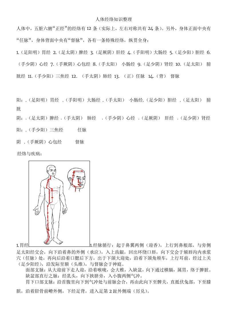 人体经络知识整理经络