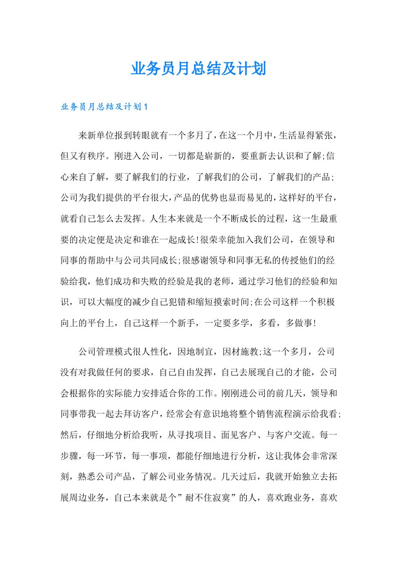 业务员月总结及计划