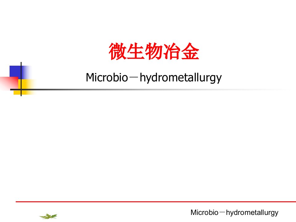微生物冶金-PPT课件