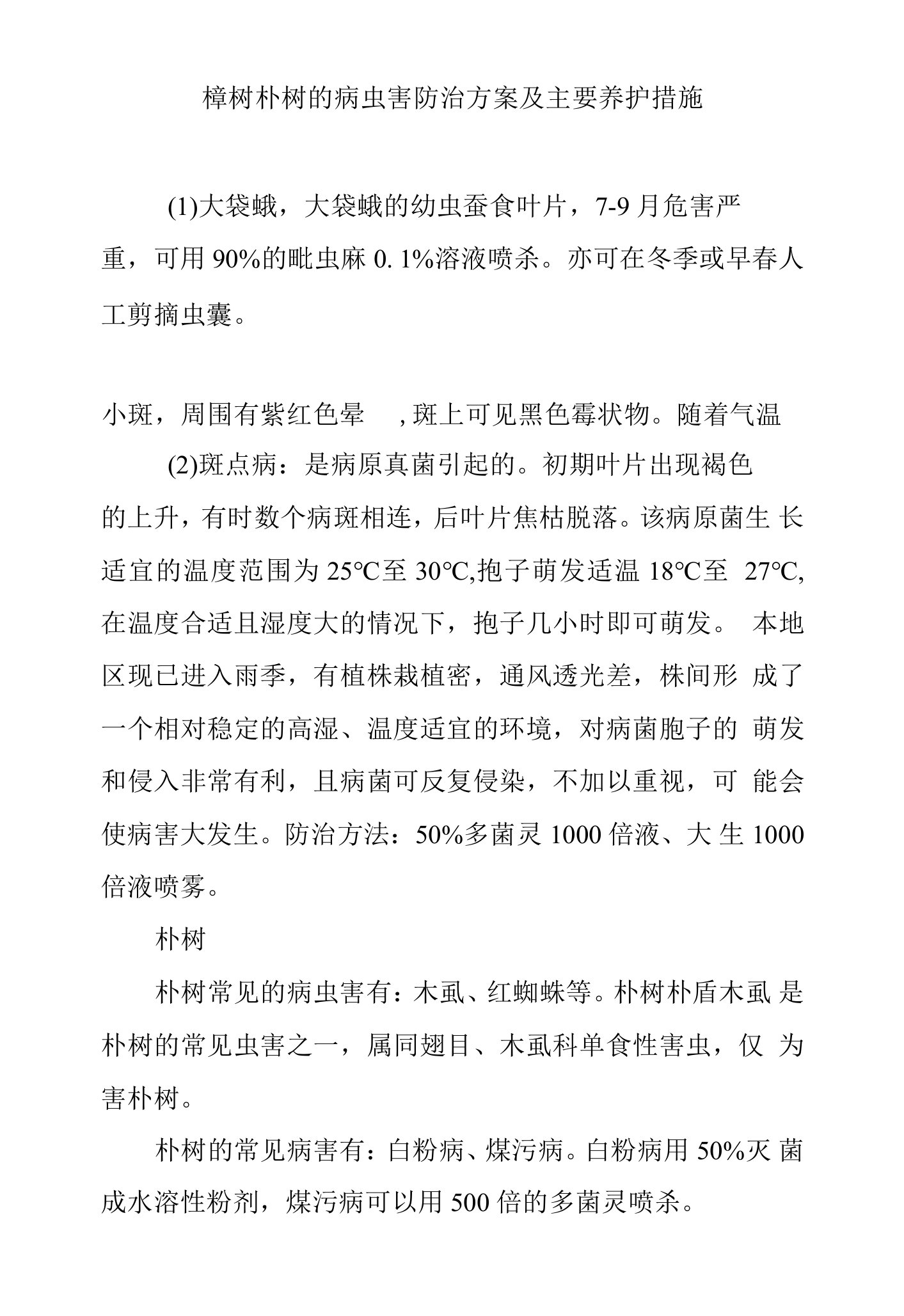 榉树朴树的病虫害防治方案及主要养护措施