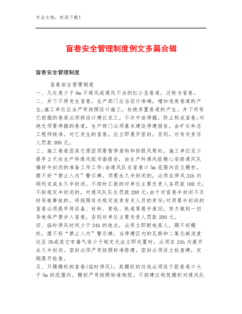 盲巷安全管理制度例文多篇合辑