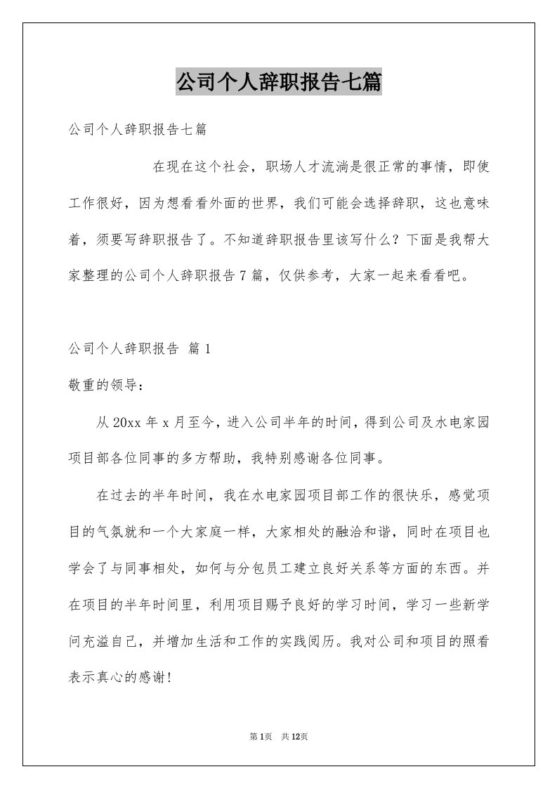 公司个人辞职报告七篇