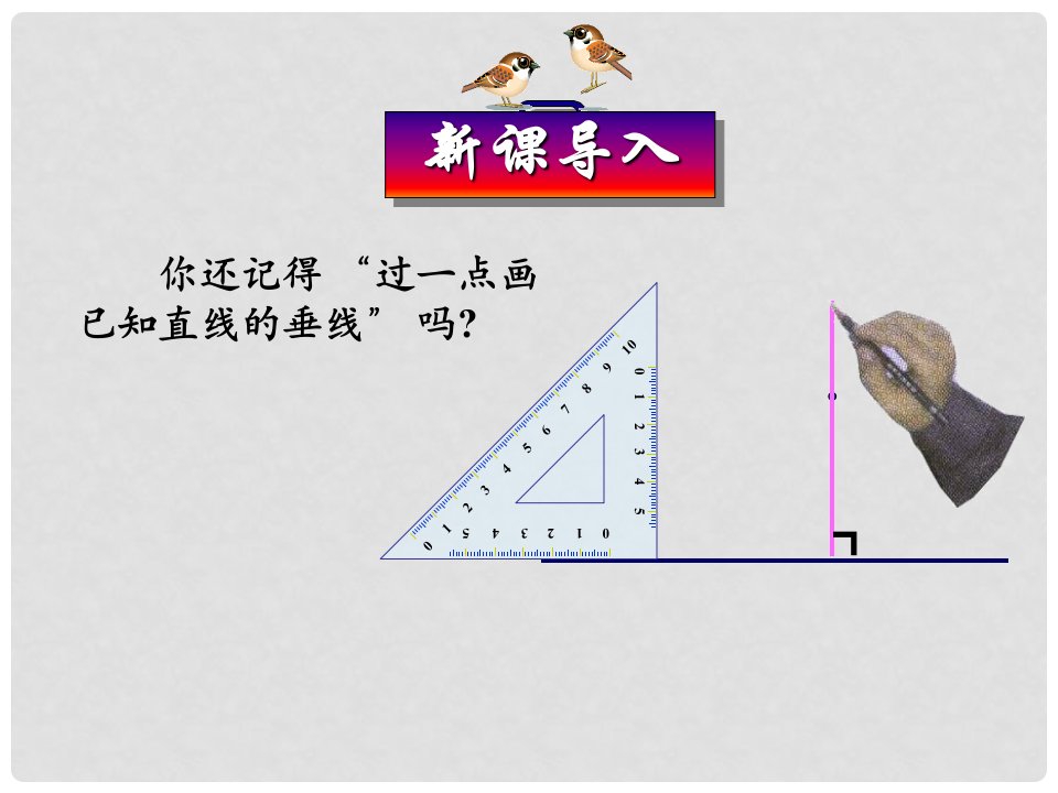 辽宁省瓦房店市第八初级中学七年级数学下册