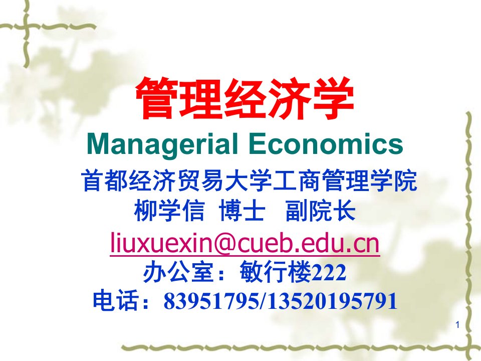 管理经济学导论.PPT