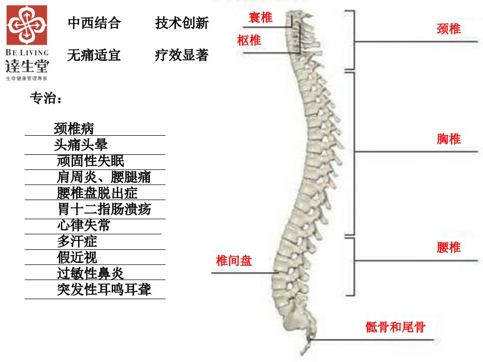 龙氏脊椎正骨