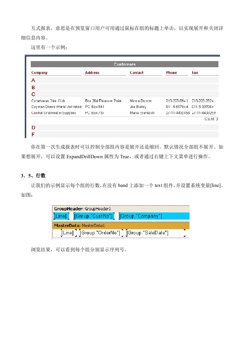 快速报表系统FastReport4用户使用手册