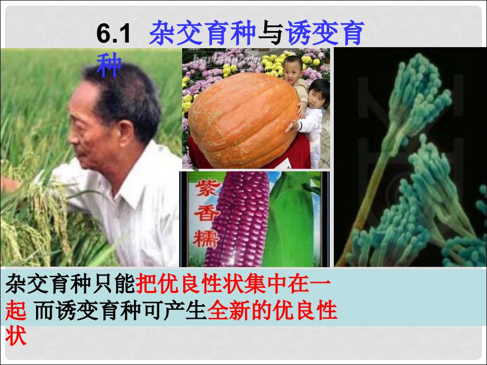 江西省南昌市高中生物