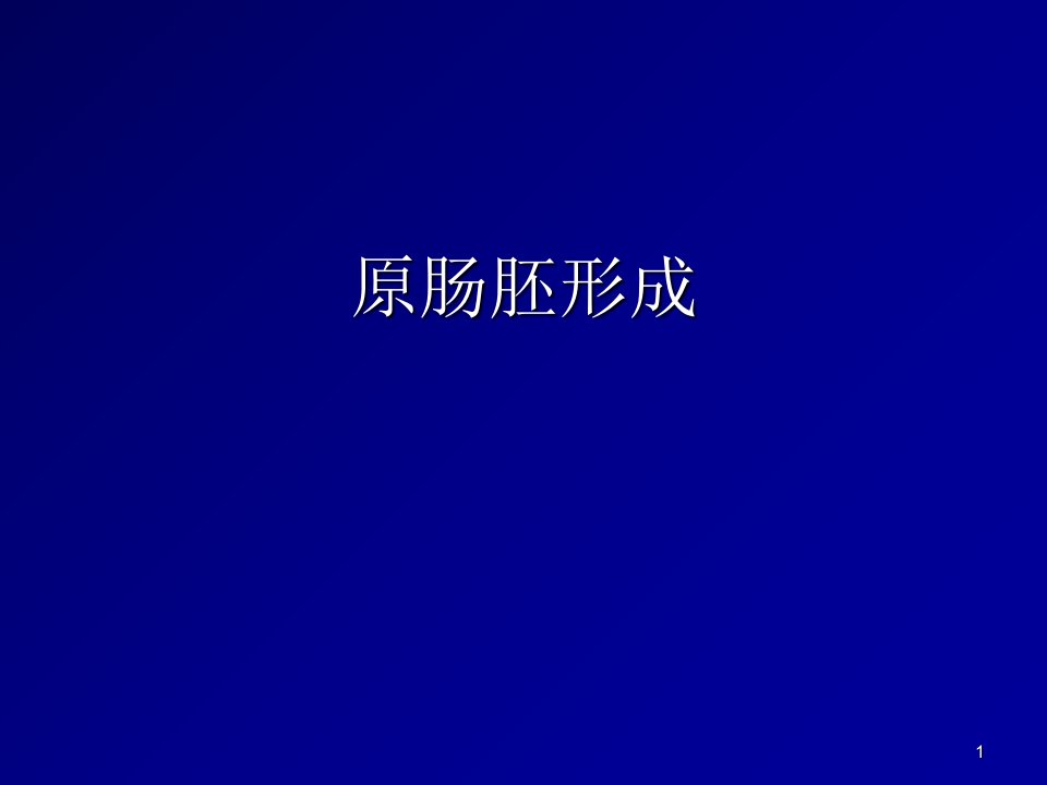 原肠胚形成