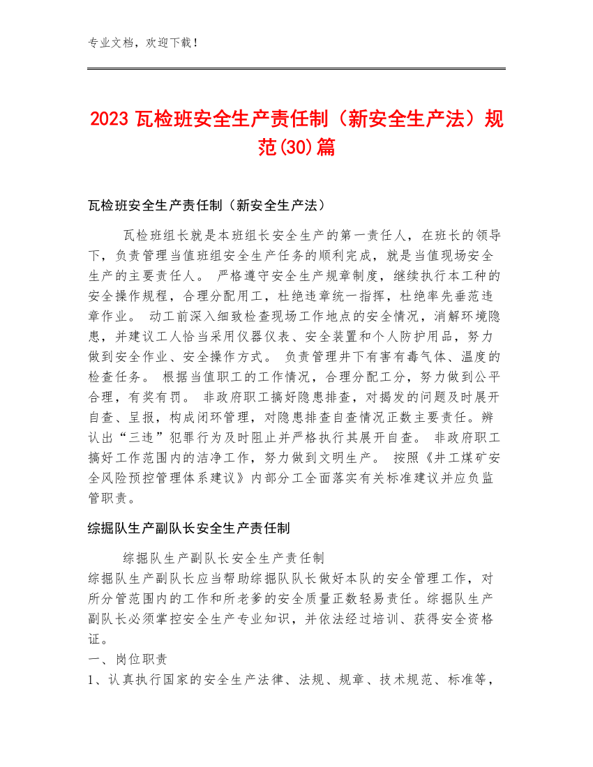 2023瓦检班安全生产责任制（新安全生产法）规范(30)篇