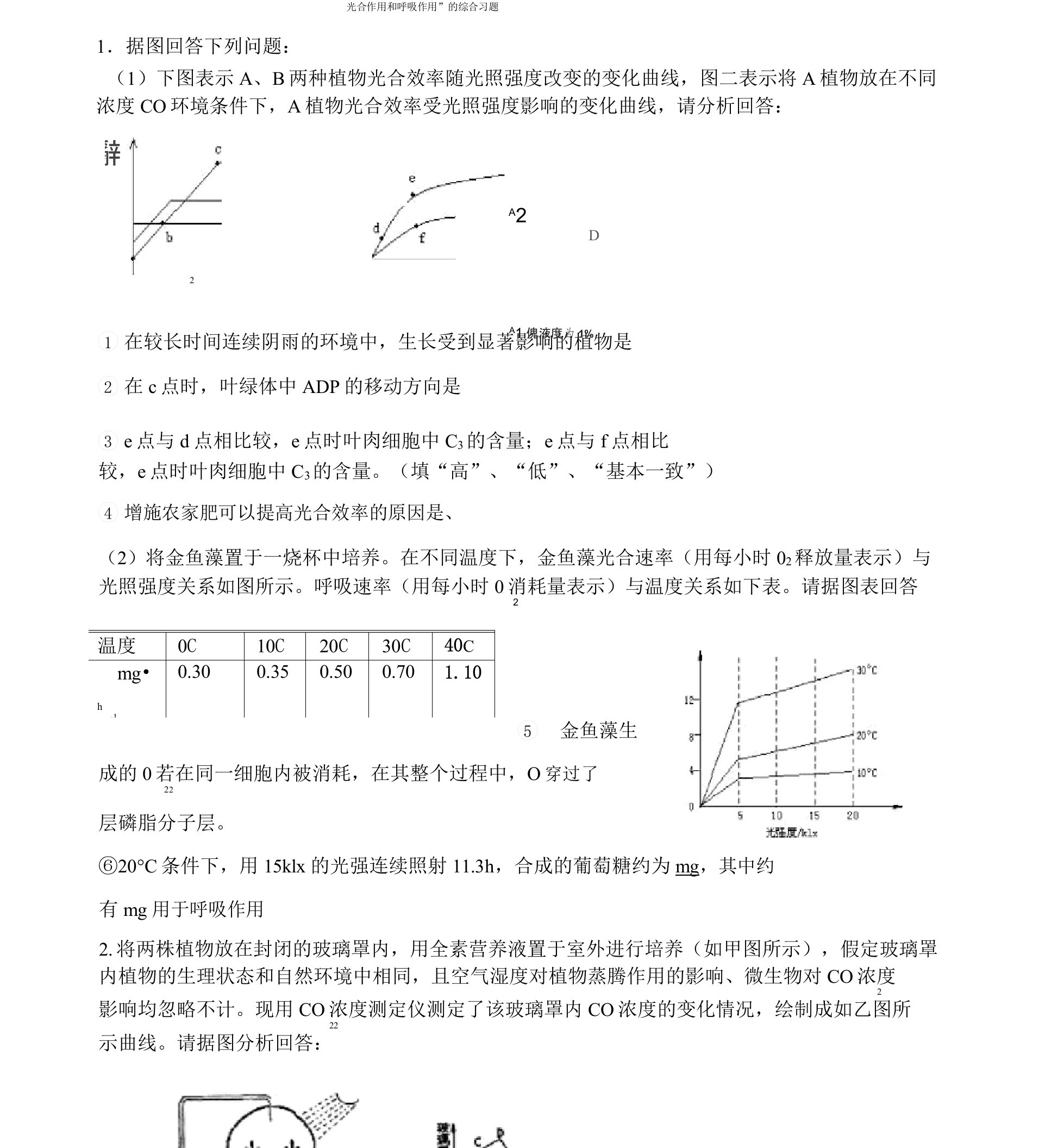 光合作用与呼吸作用专题综合练习含答案