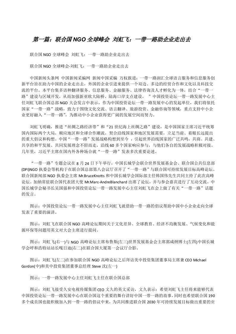 联合国NGO全球峰会刘虹飞：一带一路助企业走出去[修改版]