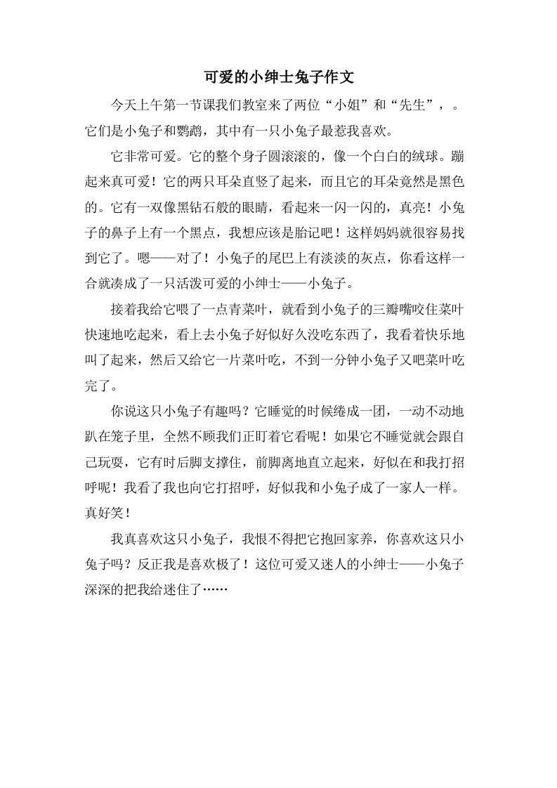 可爱的小绅士兔子作文