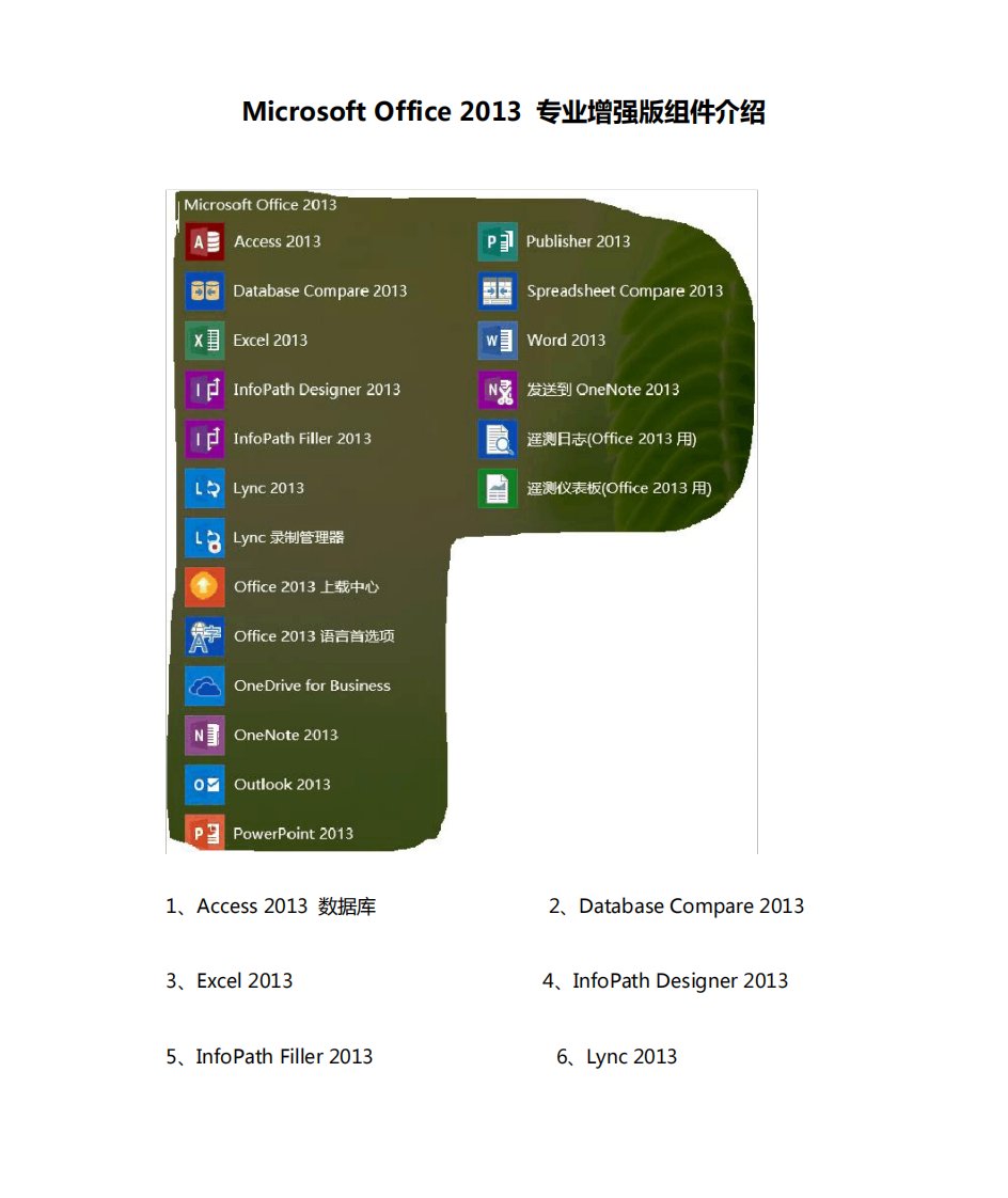 MicrosoftOffice2013专业增强版组件介绍