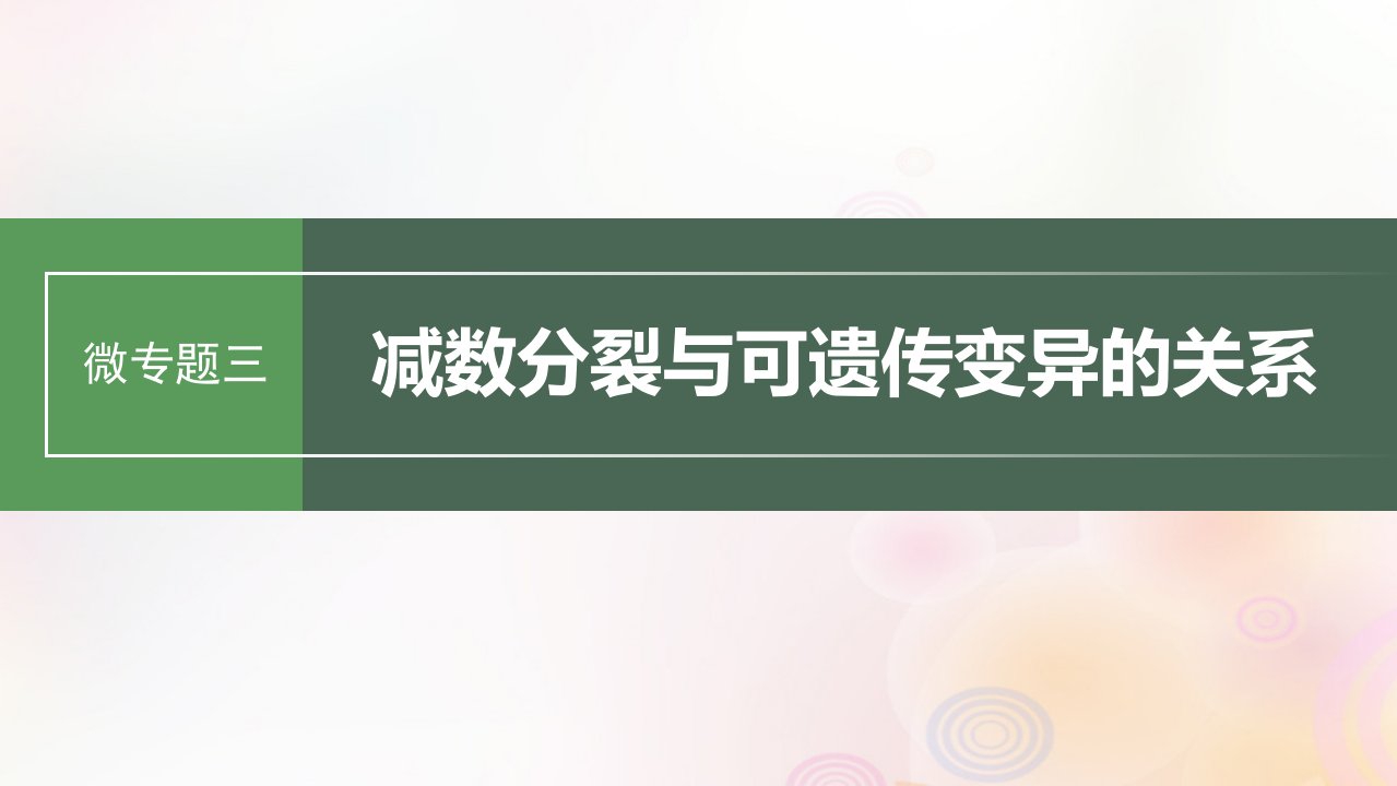 鲁湘辽新教材2024届高考生物一轮复习第四单元细胞的生命历程微专题三减数分裂与可遗传变异的关系课件