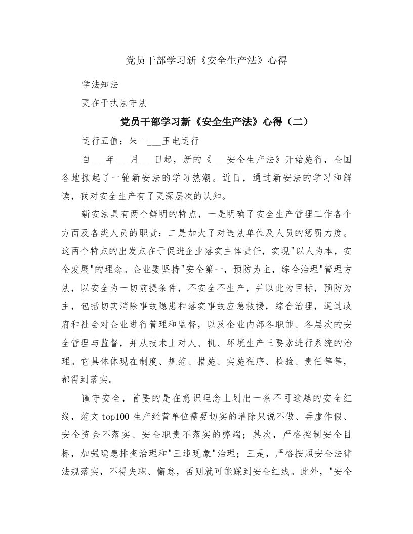 党员干部学习新《安全生产法》心得