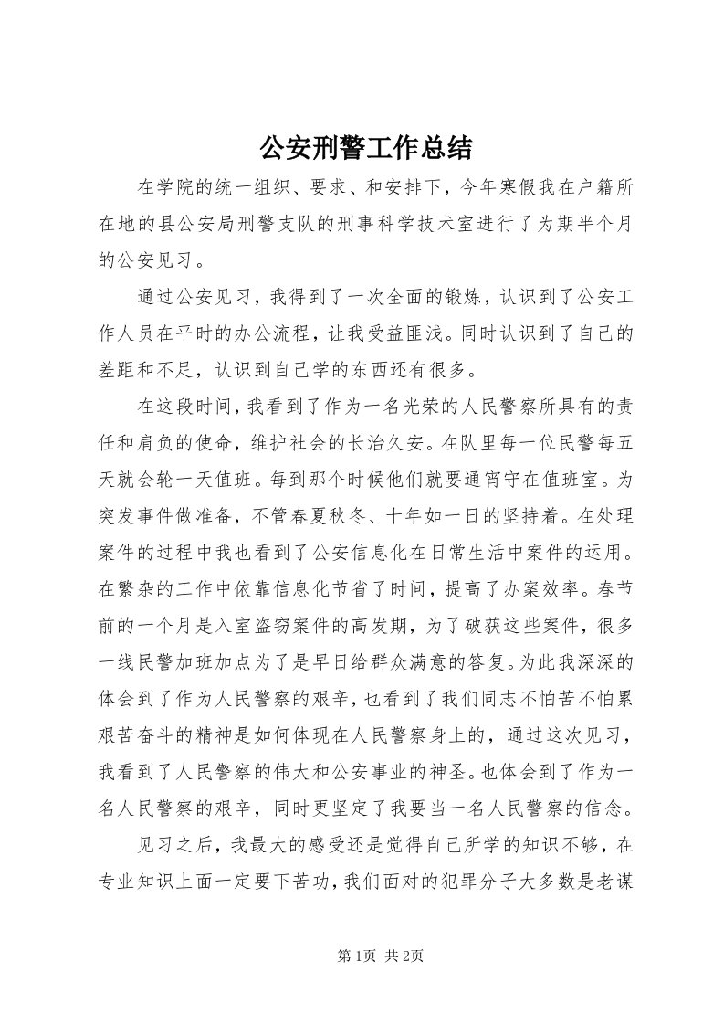 公安刑警工作总结