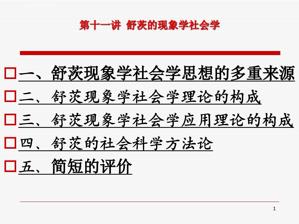 舒茨的现象学社会学和常人方法论ppt课件