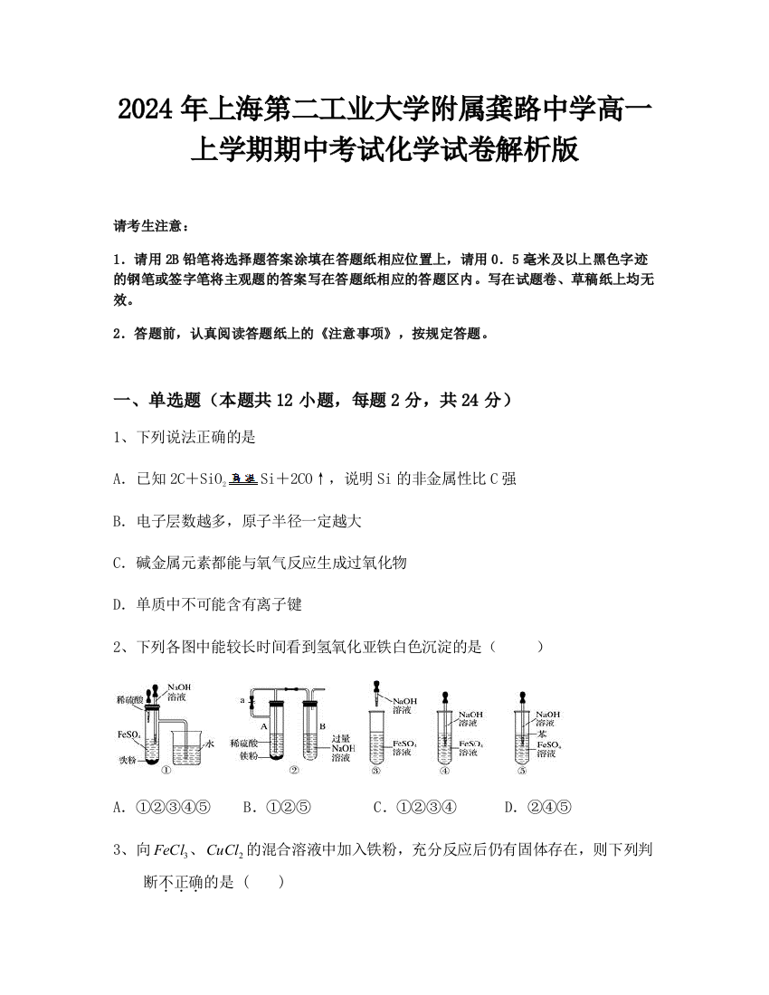 2024年上海第二工业大学附属龚路中学高一上学期期中考试化学试卷解析版