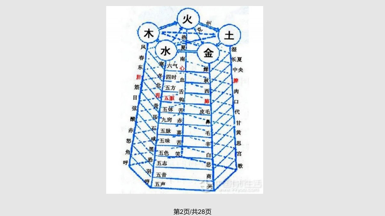 中医基础理论之五脏六腑