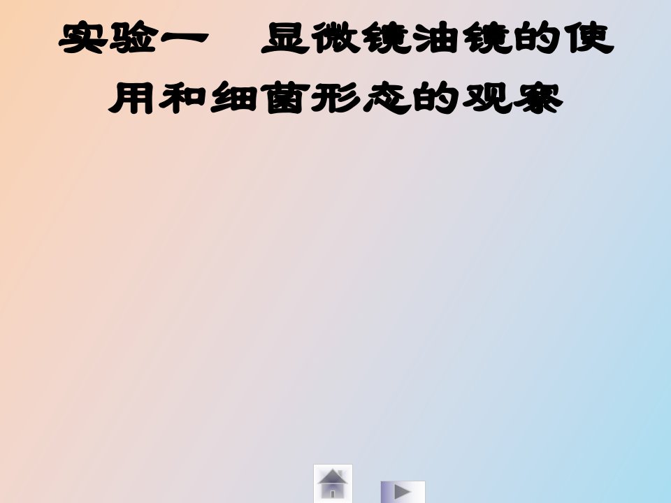 实验一显微镜油镜的使用和细菌形态的观察