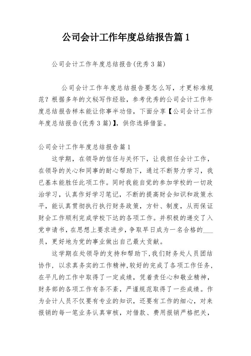 公司会计工作年度总结报告篇1