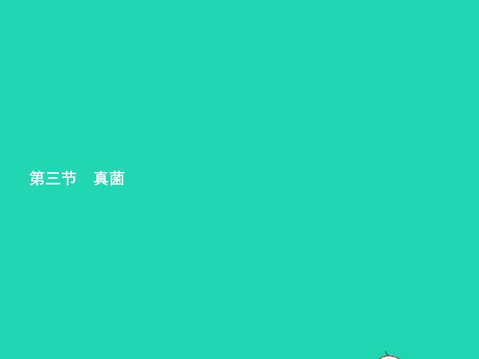 2022八年级生物上册第5单元生物圈中的其他生物第4章细菌和真菌第3节真菌课件新版新人教版