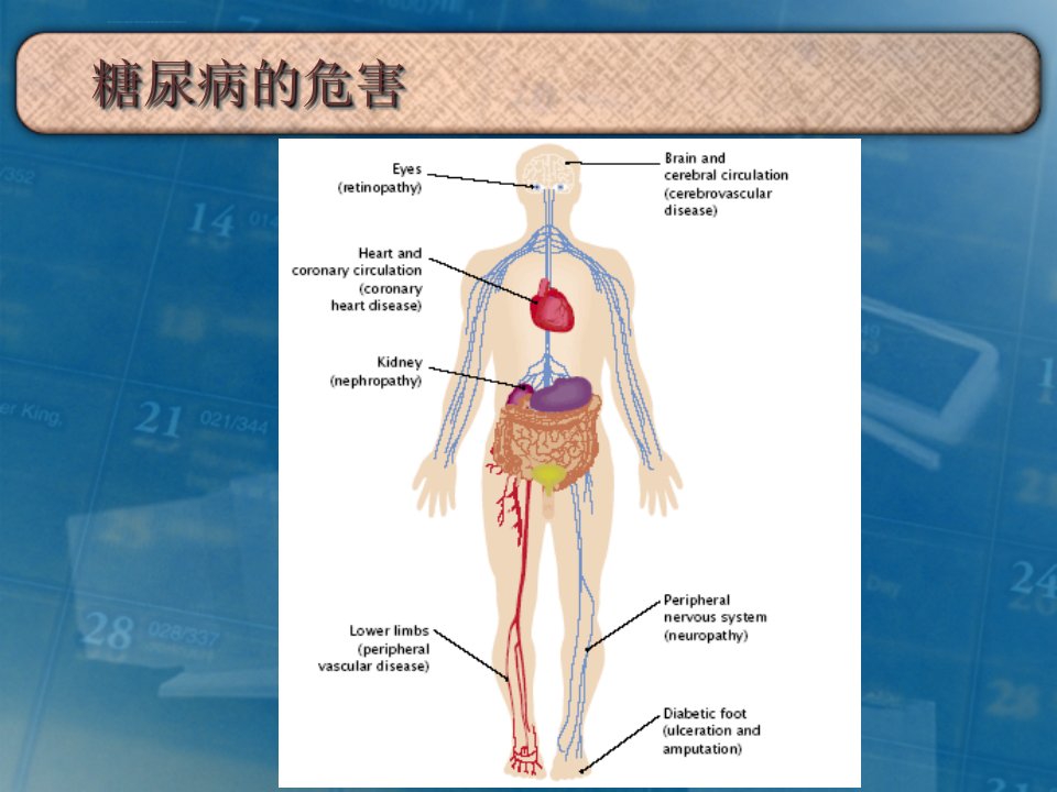 从糖尿病微血管并发症谈血糖控制重要性糖尿病肾ppt课件