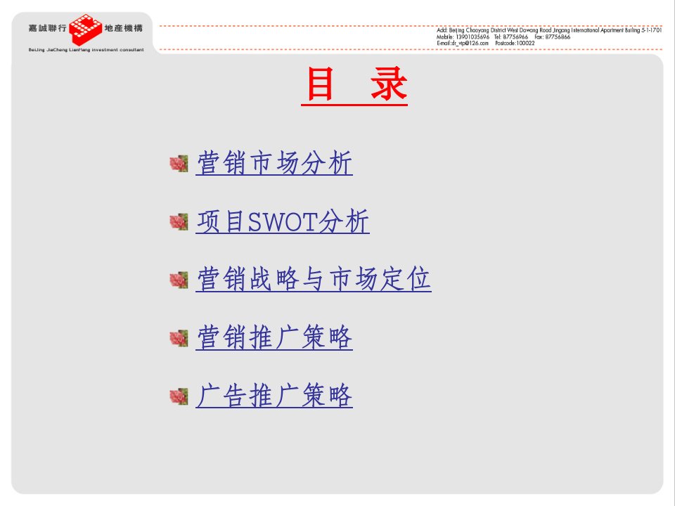 国际项目营销推广策划69P课件