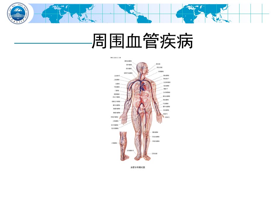 周围血管疾病