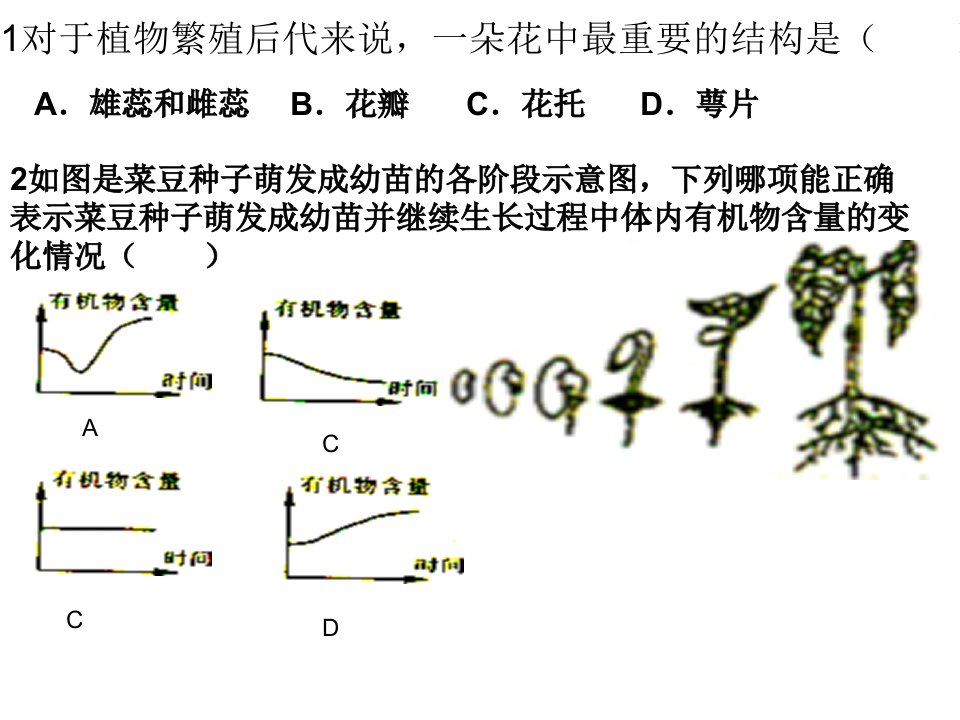 植物的三个作用