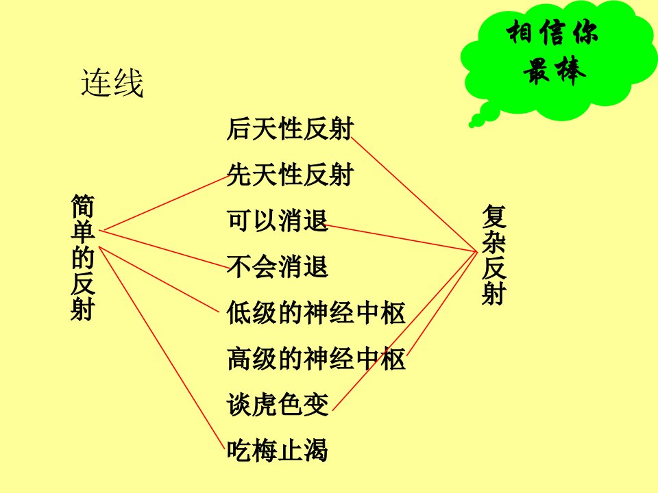 《人的激素调节》PPT课件