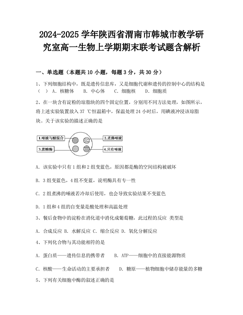 2024-2025学年陕西省渭南市韩城市教学研究室高一生物上学期期末联考试题含解析