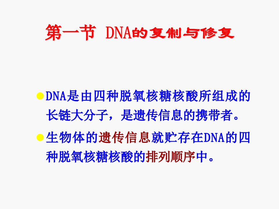 DNA复制RNA转录蛋白质翻译