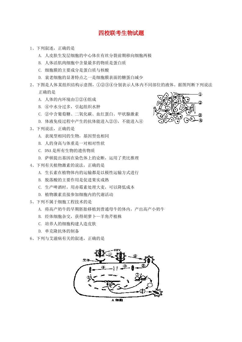 广东省华附、省实、广雅、深中四校2012届高三生物上学期期末联考试题