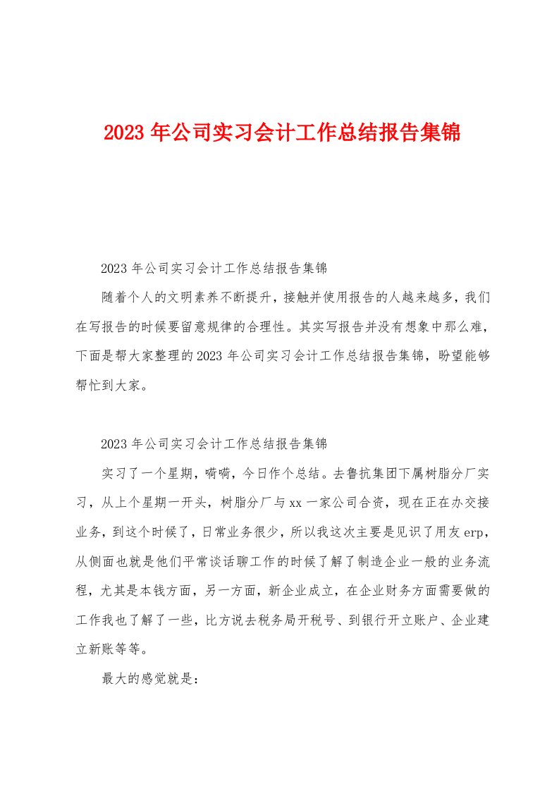 2023年公司实习会计工作总结报告