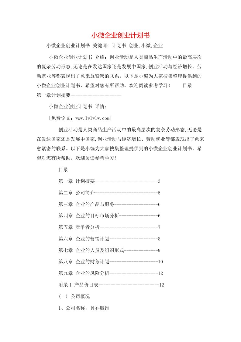 工作计划-小微企业创业计划书