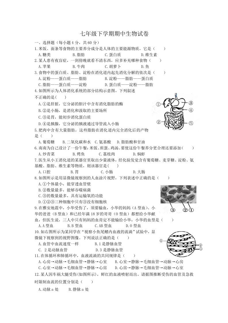 2024-2025学年七年级下学期生物期中试题及答案