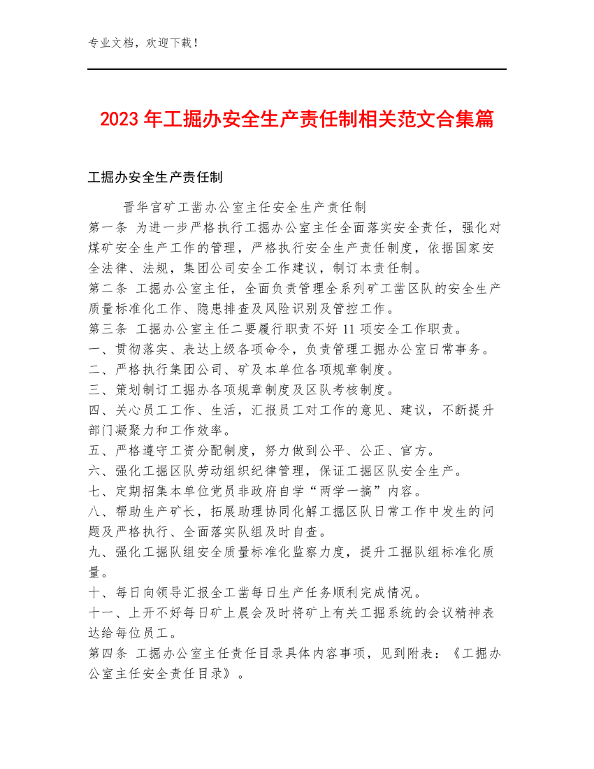 2023年工掘办安全生产责任制范文合集篇