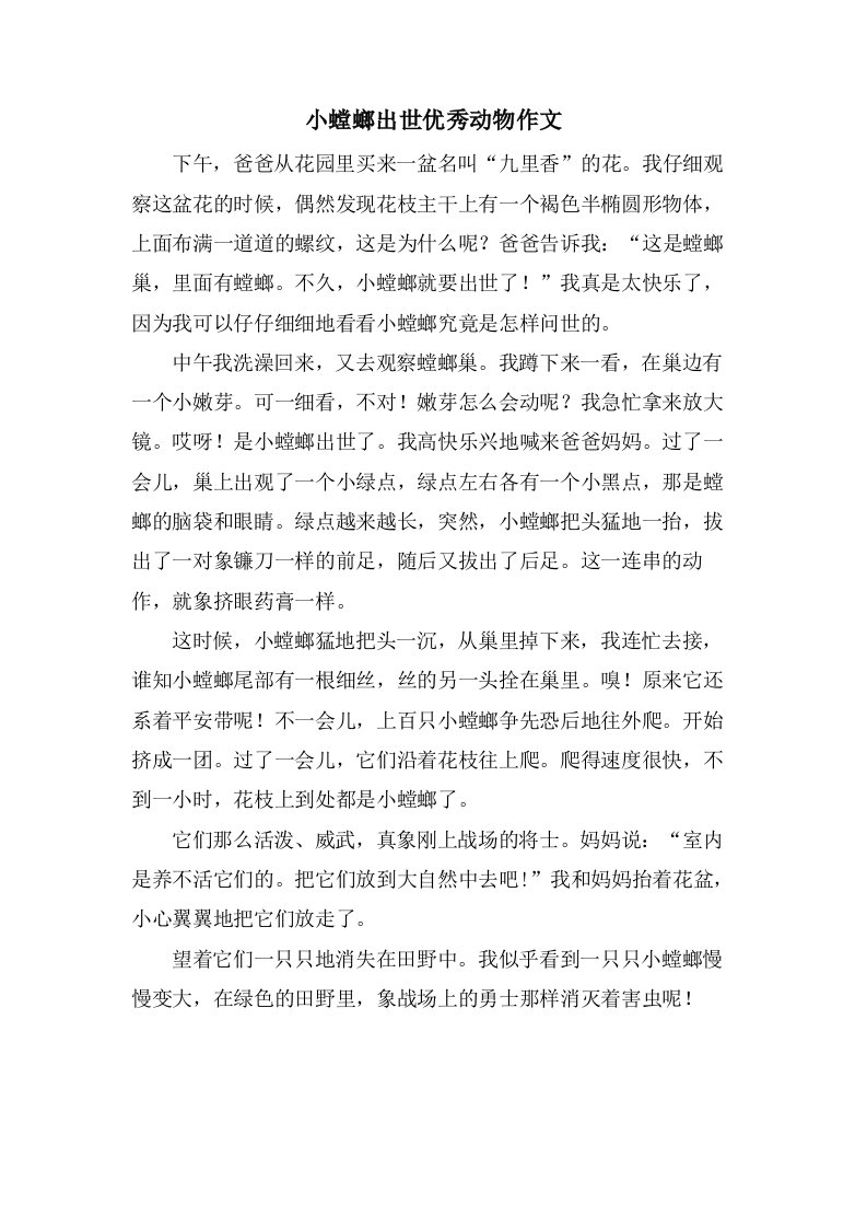 小螳螂出世动物作文