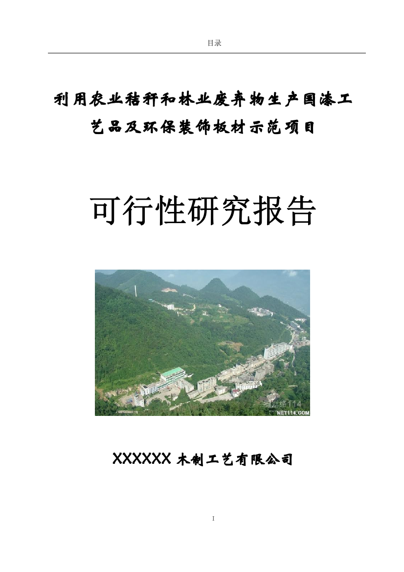 利用农作物秸秆等农、林废弃物年产16万套国漆工艺品及120万平方米工艺装饰板材改扩建项目可行性研究报告