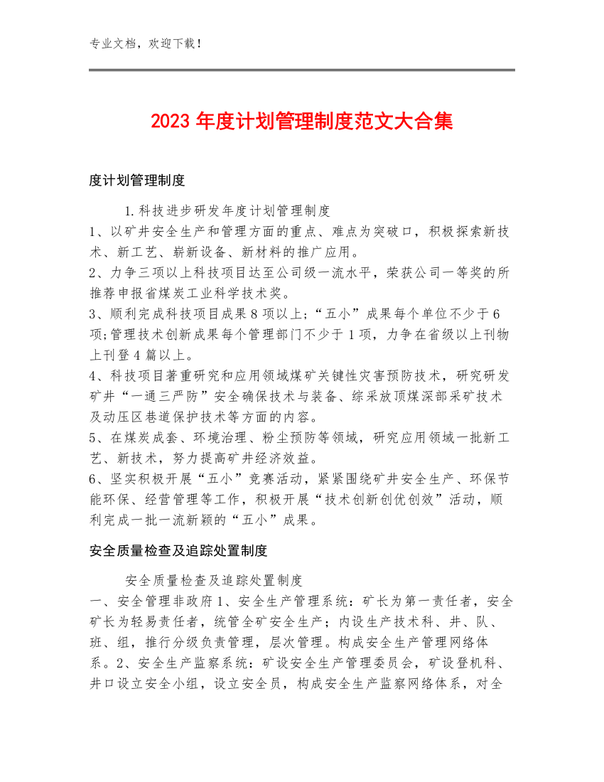 2023年度计划管理制度范文大合集