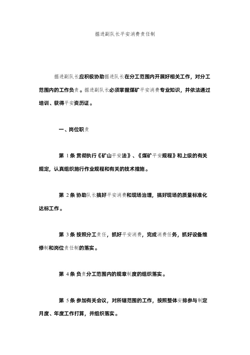 2022掘进副队长安全生产责任制精选